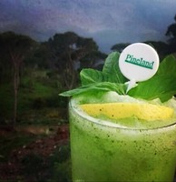 Fresh Juice