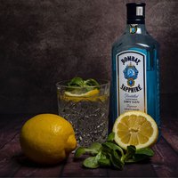 Gin Bottles
