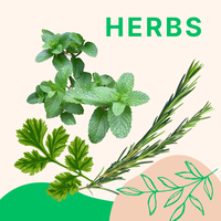 Herbs