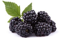 Blackberries [1 pack]