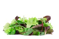 Mix Salad Leaves [1 Pack]