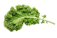 Organic Kale Leaves [1 Bunch]