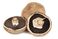Portobello Mushroom [250 g]