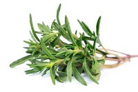 Thyme [1 Bunch]
