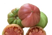 Tomato Jabaliye [500 gr]