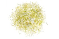 White Cabbage Shredded [250 g]
